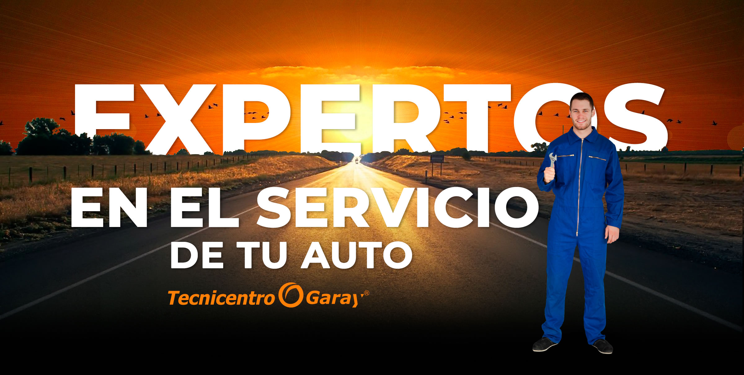 ExpertosServicio