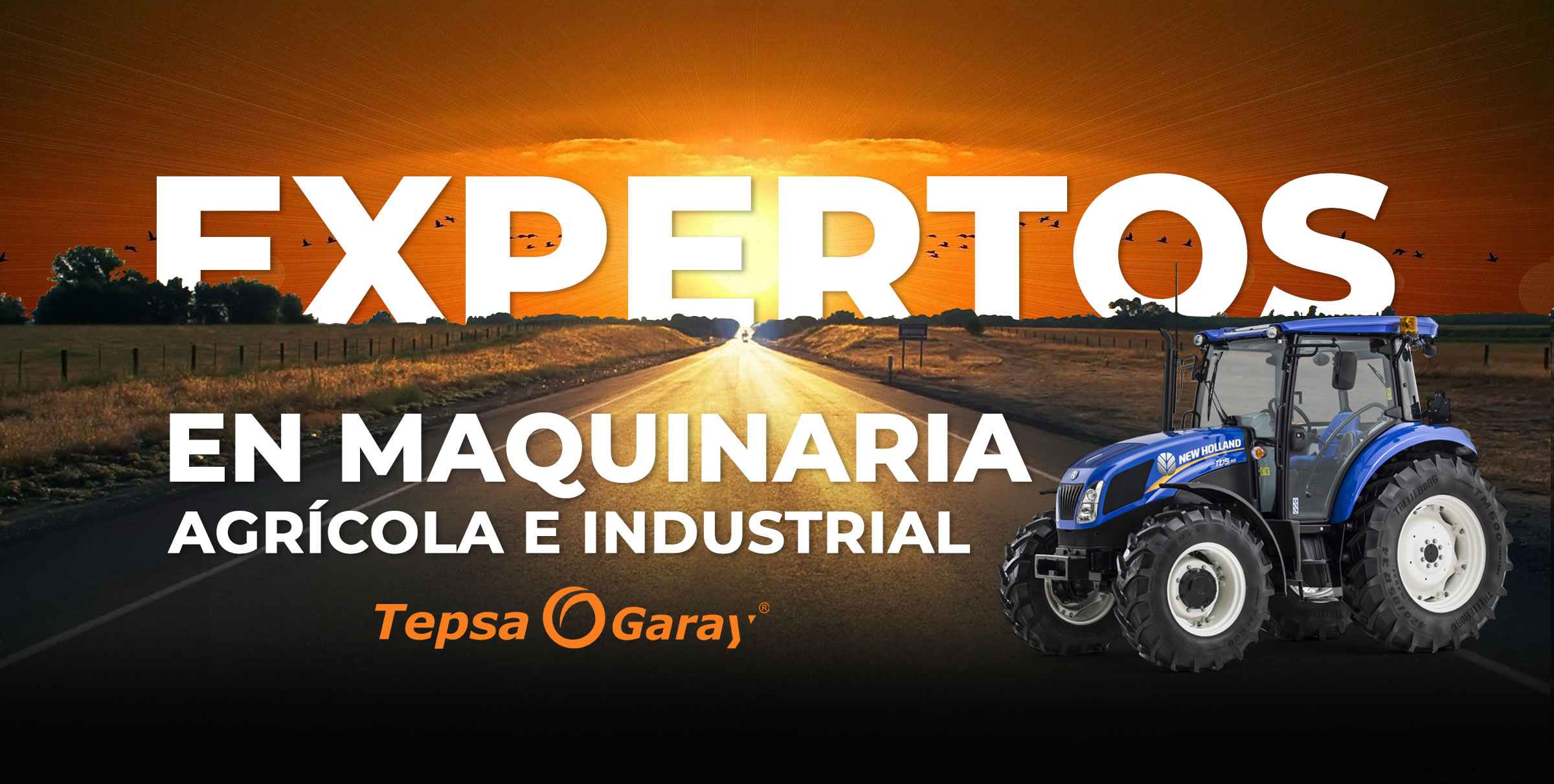 TepsaGaray