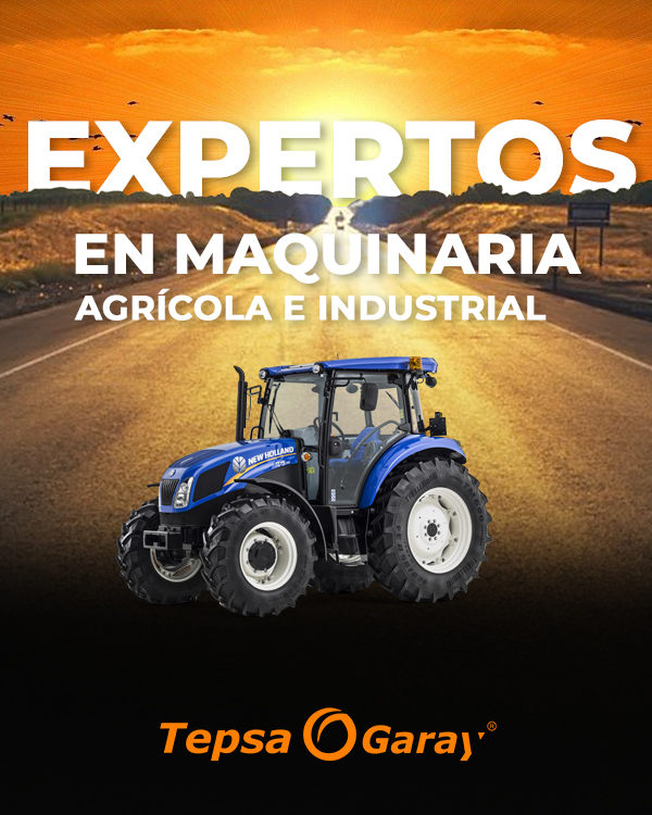 logo tepsa